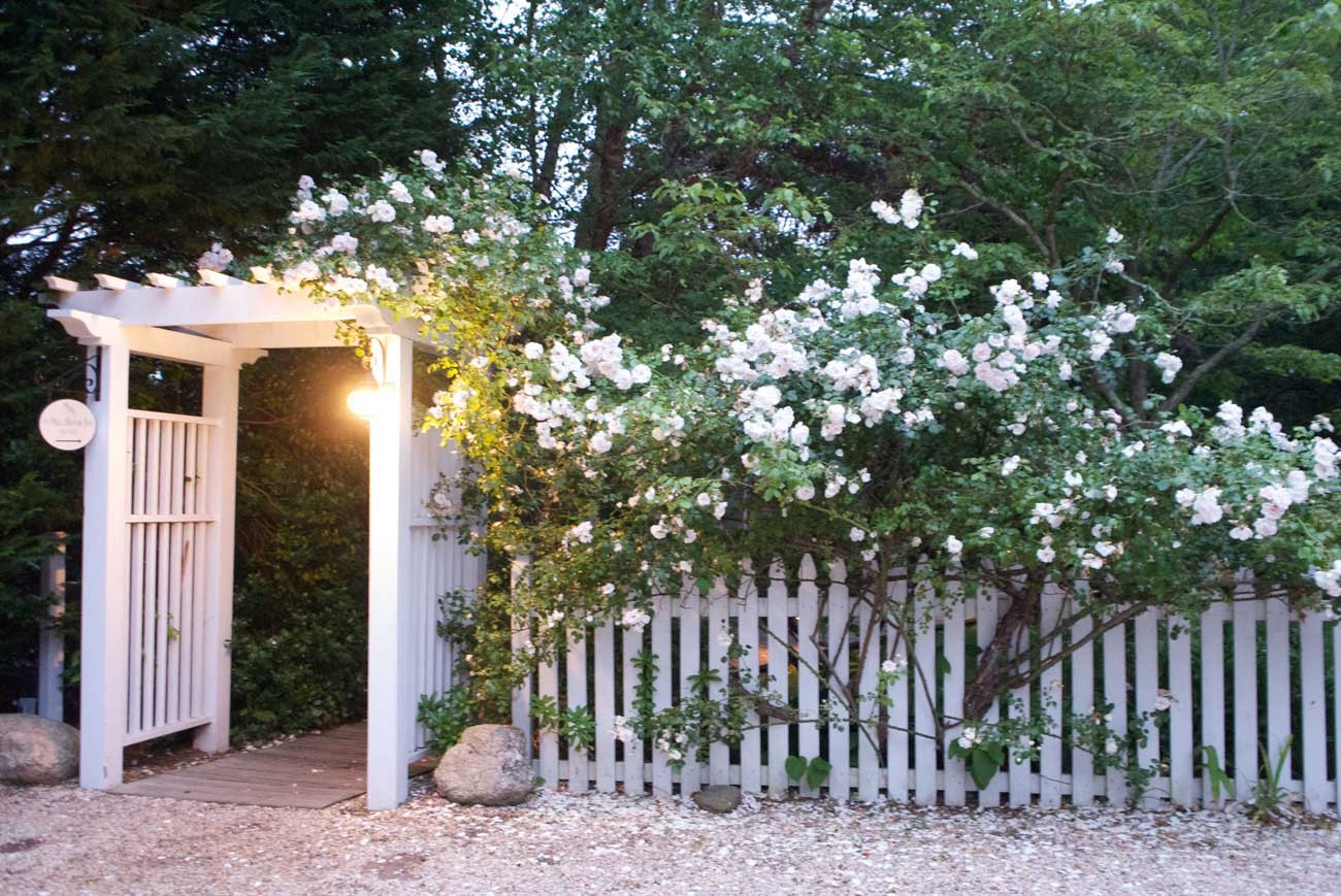 Mill House Inn East Hampton NY Summer Roses