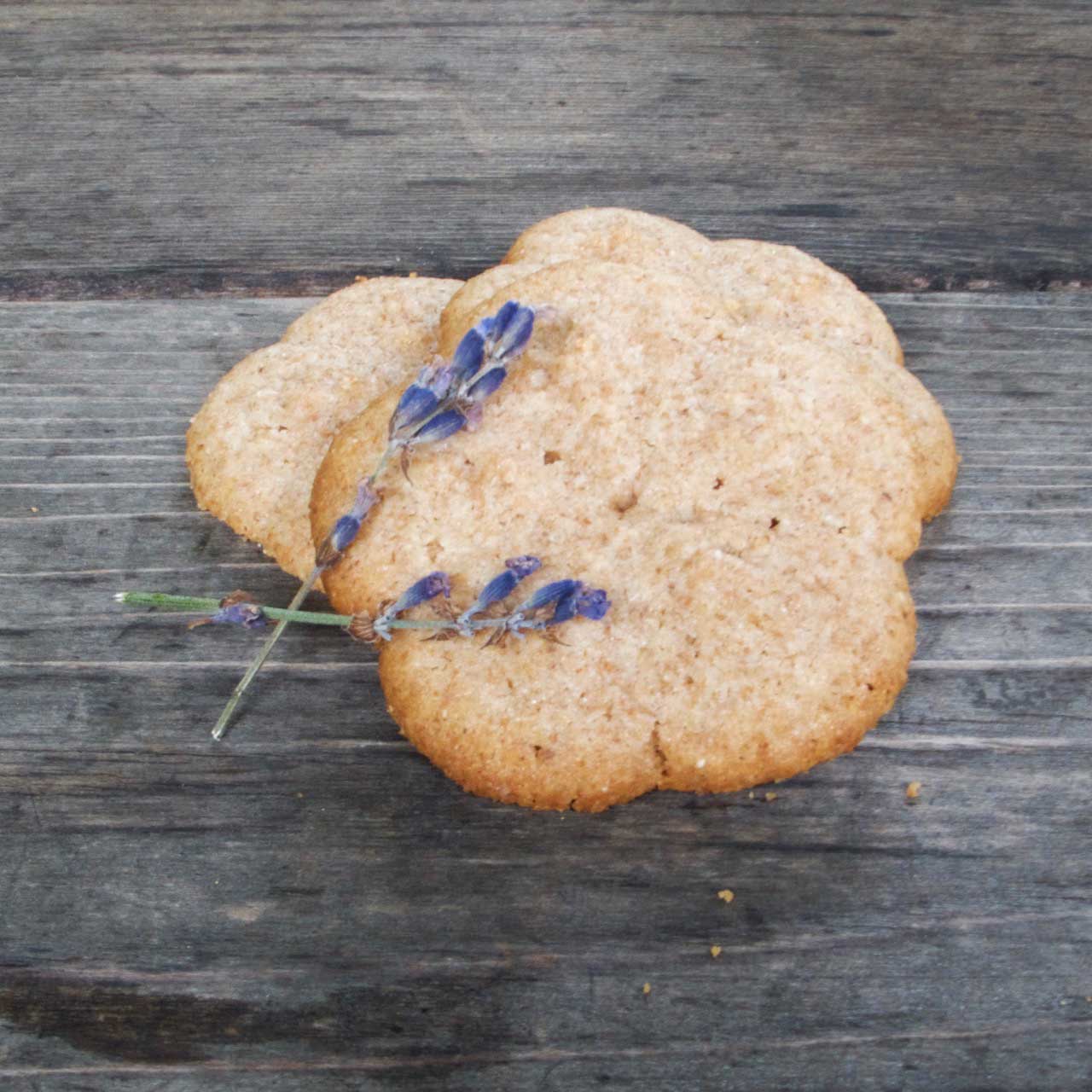 DD_Lavender_shortbread—4 Lavender Shortbread Cookies from Carolyn's Kitchen at the Mill House Inn East Hampton NY