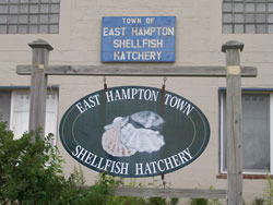 East Hampton Town Shellfish Hatchery