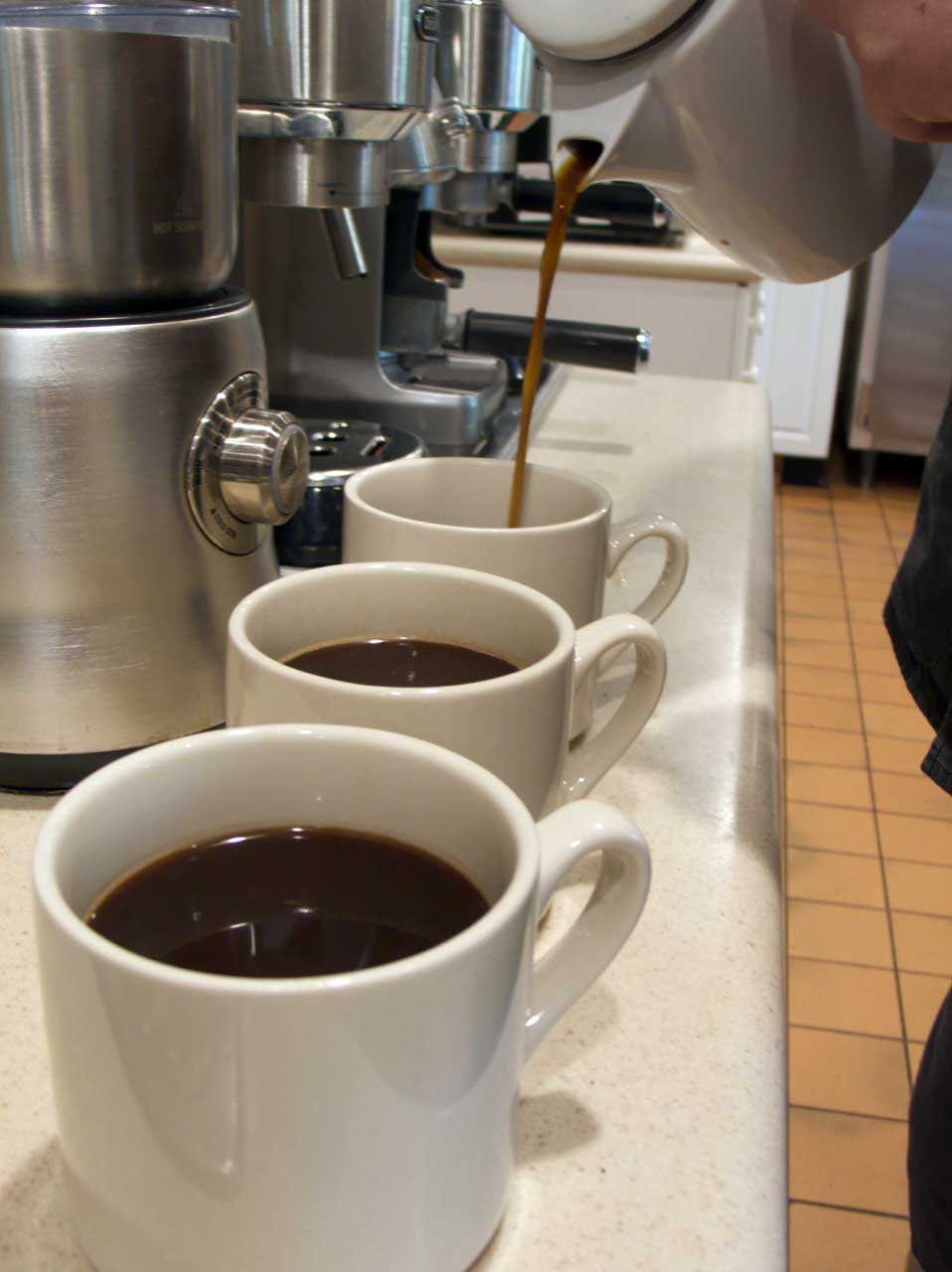 MHI-Coffee—9 Mill House Inn Dog