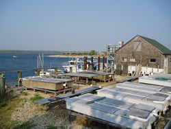 East Hampton Town Shellfish Hatchery