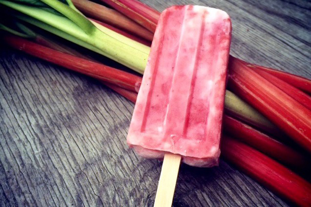 paletas – 1 (1) Palettas (home made ice pops) from ‘Carolyn's Kitchen’ at the Mill House Inn, East Hampton NY