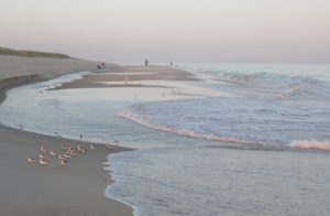 Early Morning on the Beaches of East Hampton