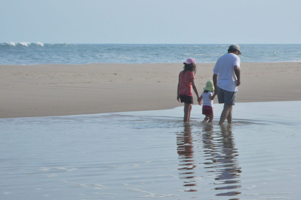 A Family Wading in the Water on the Beach in East Hampton