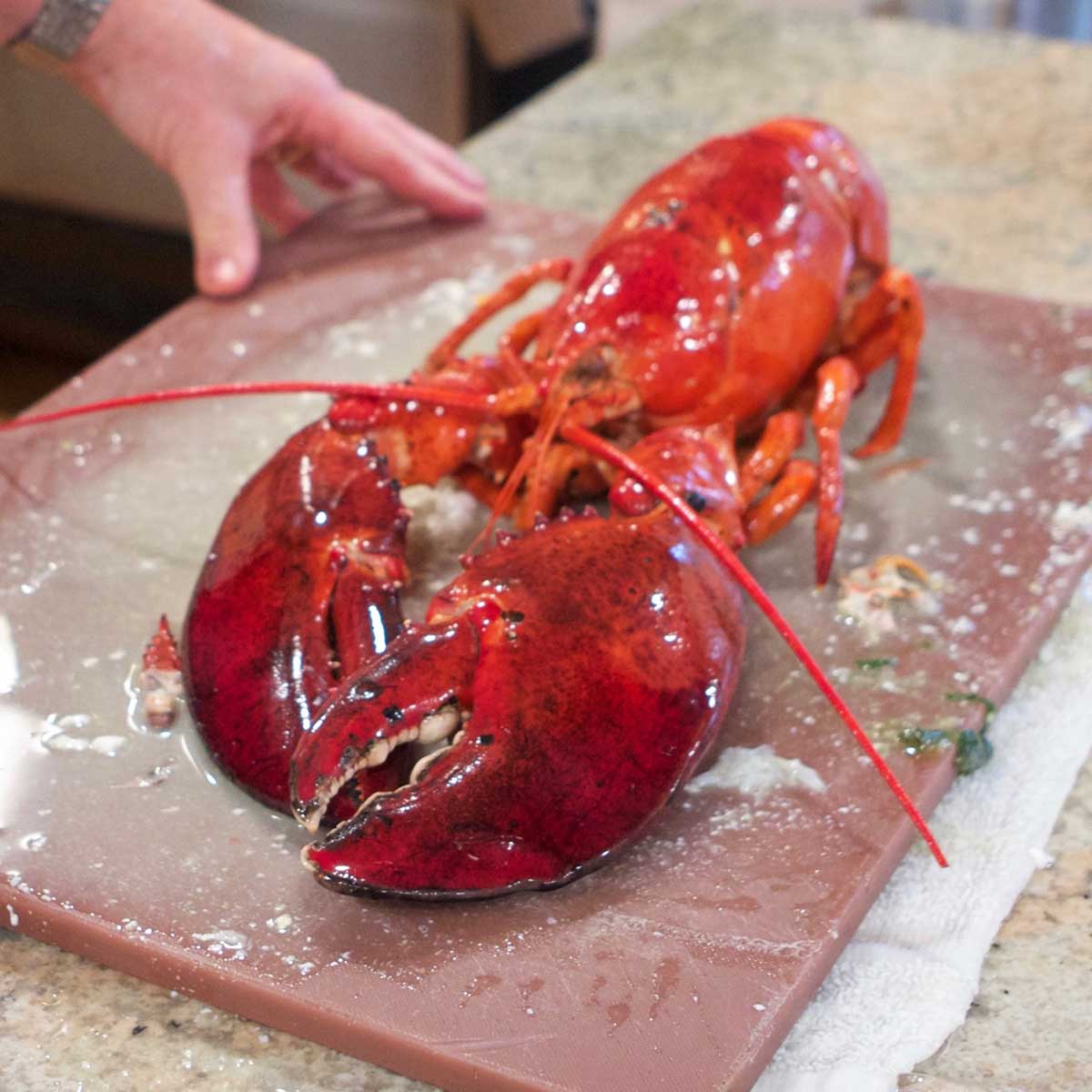 The Mill House Inn’s Lobster Frittata Recipe