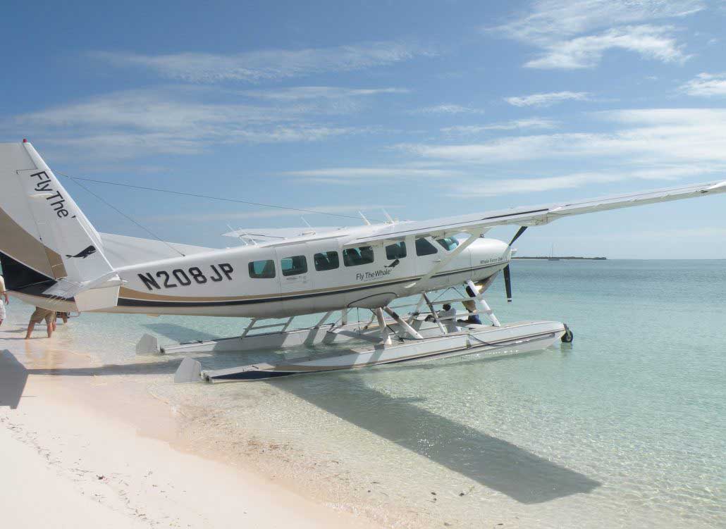 Image of Seaplane from “Fly the Whale”