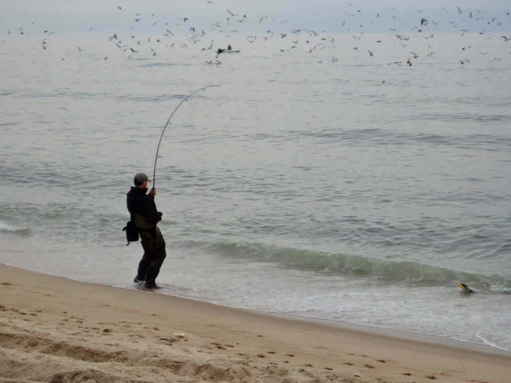 Image of a man surfcasting in the hamptons