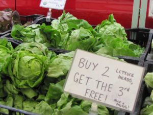 Lettuces at East Hampton Farmers Market