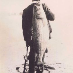 Image of a man with a Striped Bass from the Archives of the East Hampton Historical Society