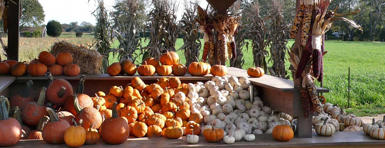 East Hampton Farm Stand Autumn Image of East Hampton Farm Stand Autumn