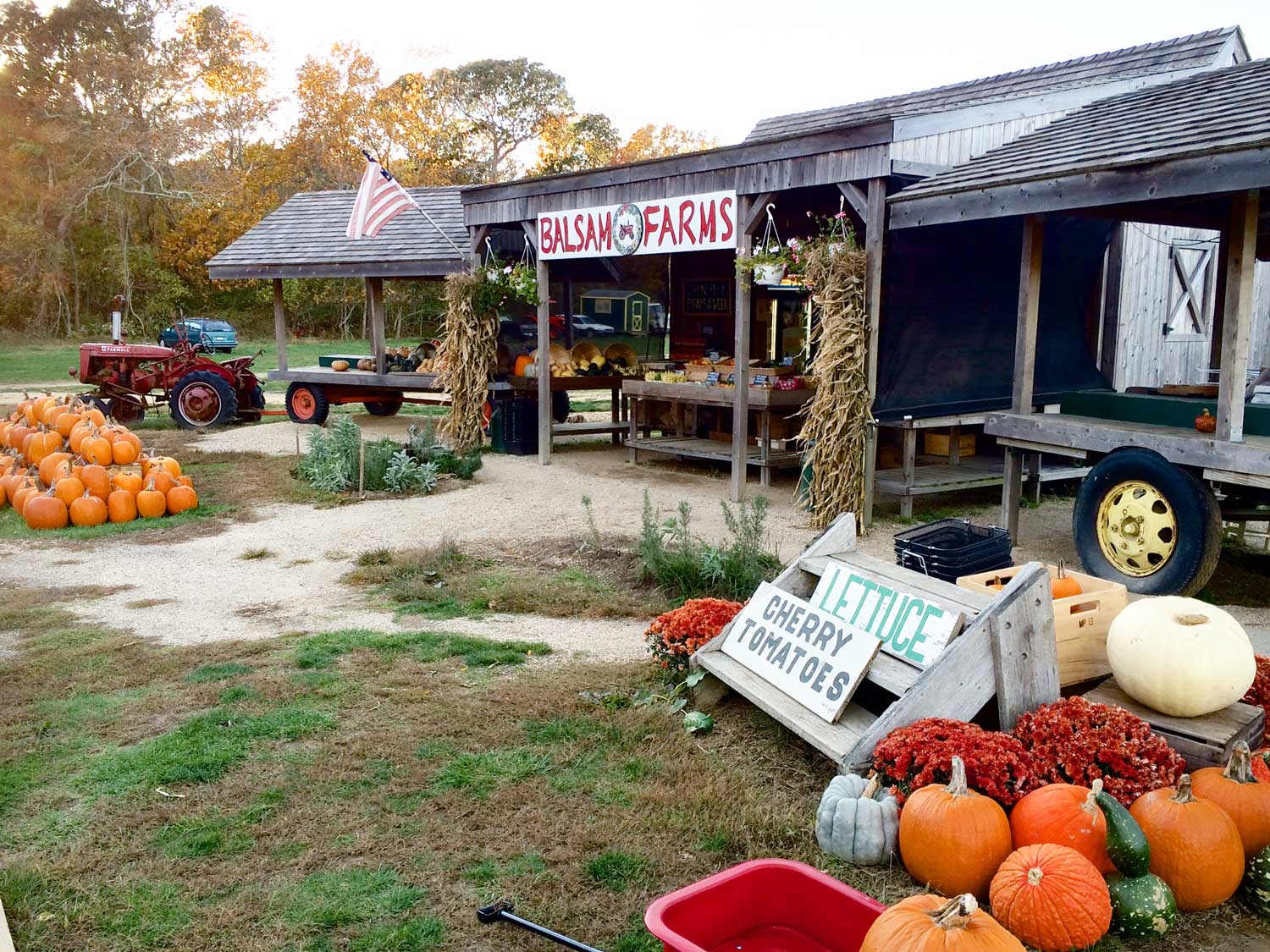 Balsam Farms Balsam Farms