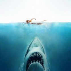 Jaws! Poster Image