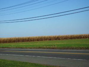 Sagaponack Farm Land