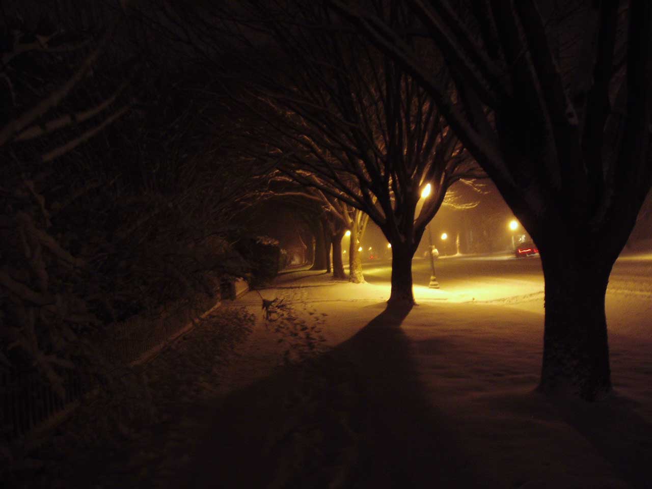 East Hampton Village on a Winter Night