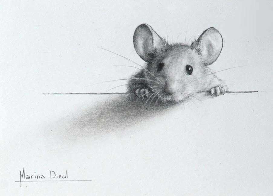 A Soused Mouse by Marina Dieul @ Pinterest