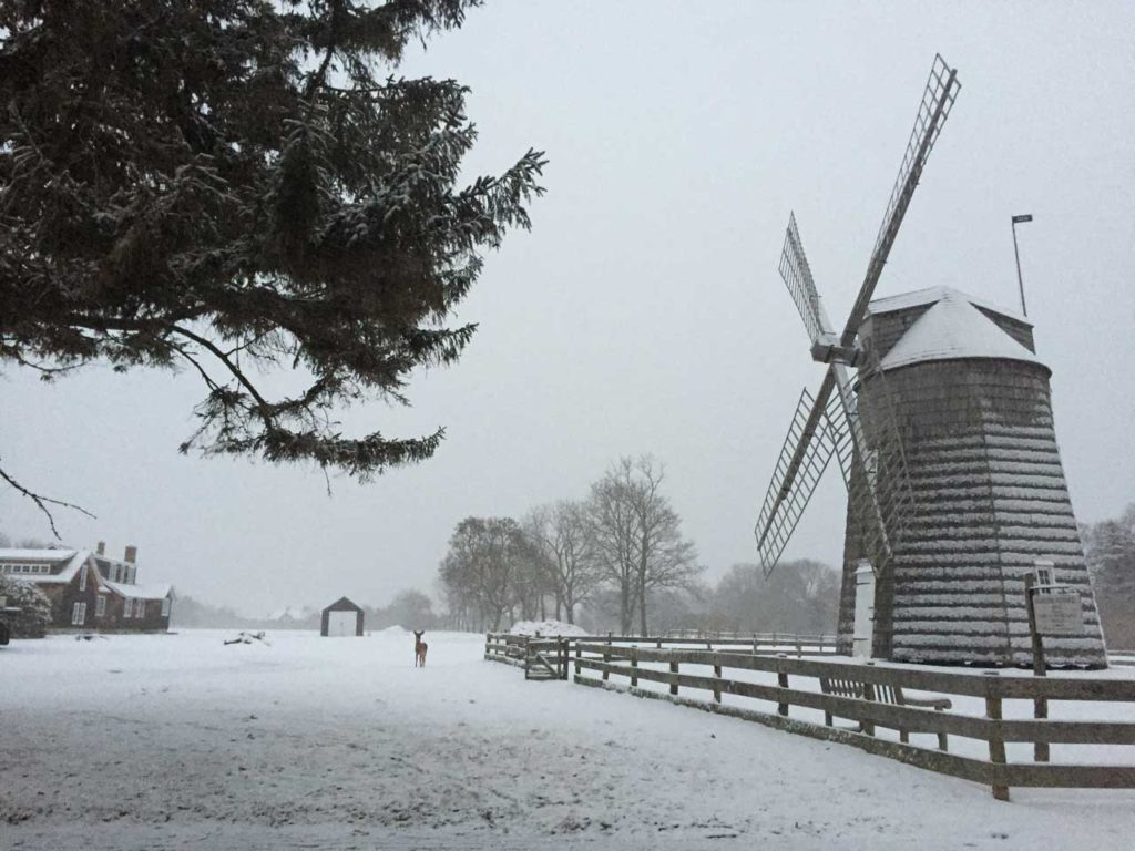Gardiner Windmill in Snow with Deer