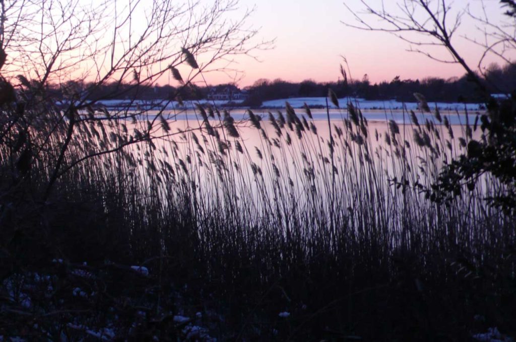 Hook Pond - Winter