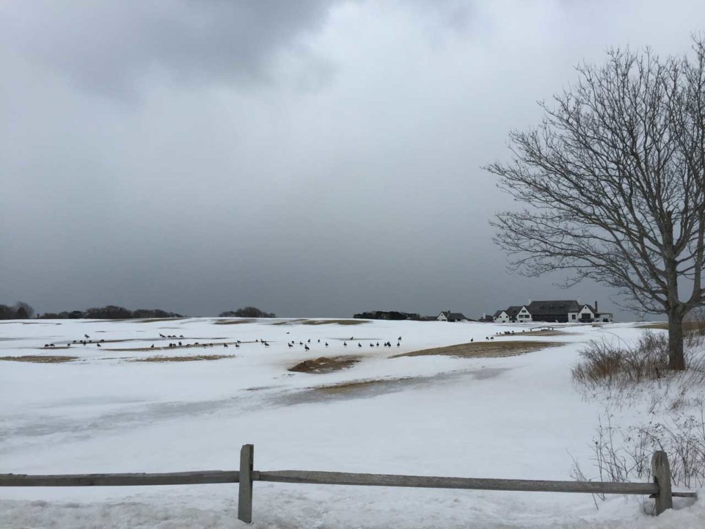 The Maidstone Club with Snow and Canadian Geese