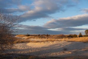 Maidstone Park Bay Beach