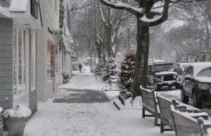East Hampton Village Snow