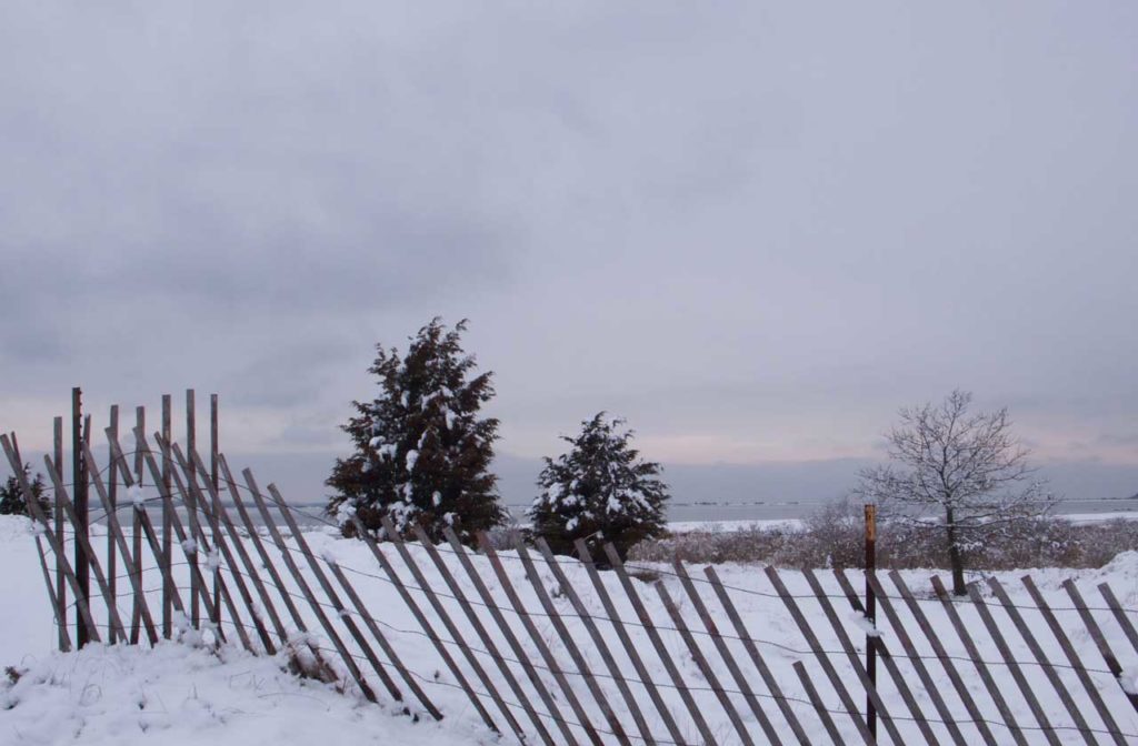 Northwest Harbor Dune Fence and Snow