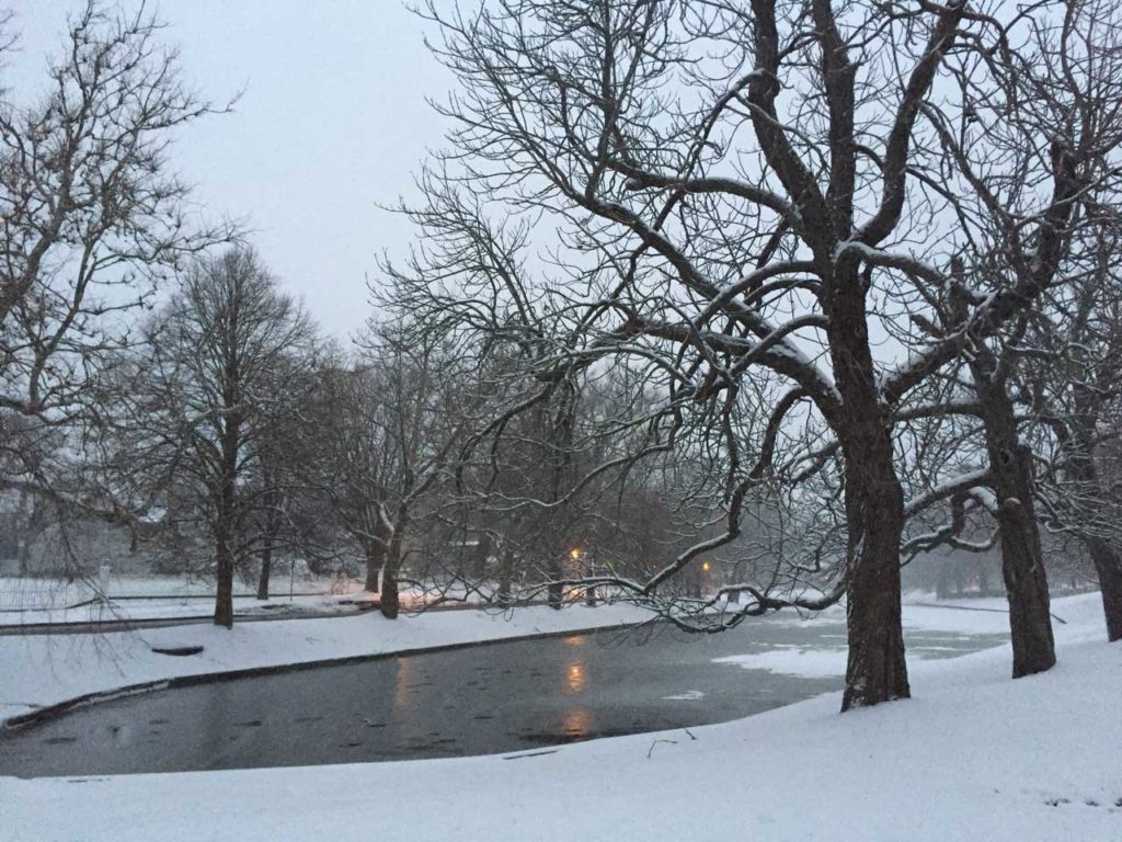 East Hampton Town Pond Snow