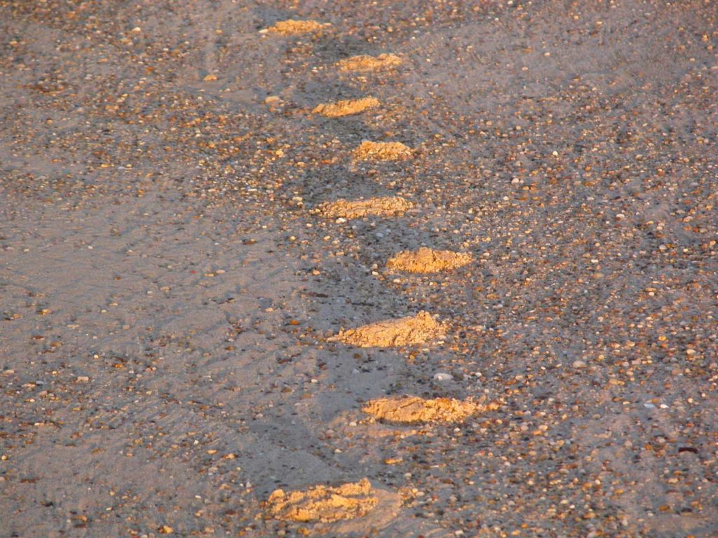 East Hampton Main Beach Sunset Footprints