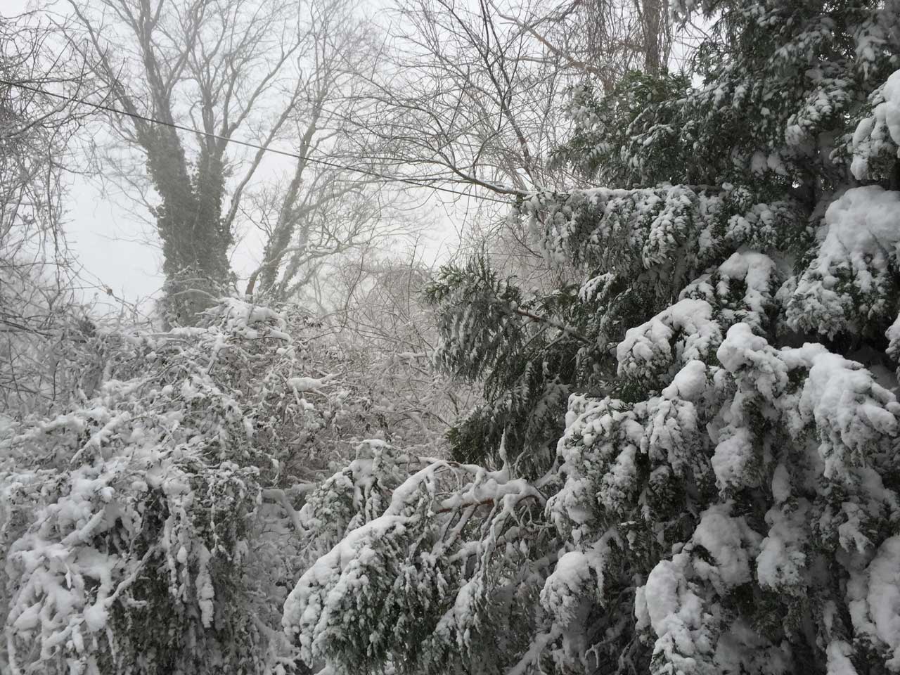 Snow in East Hampton NY Snow in East Hampton NY