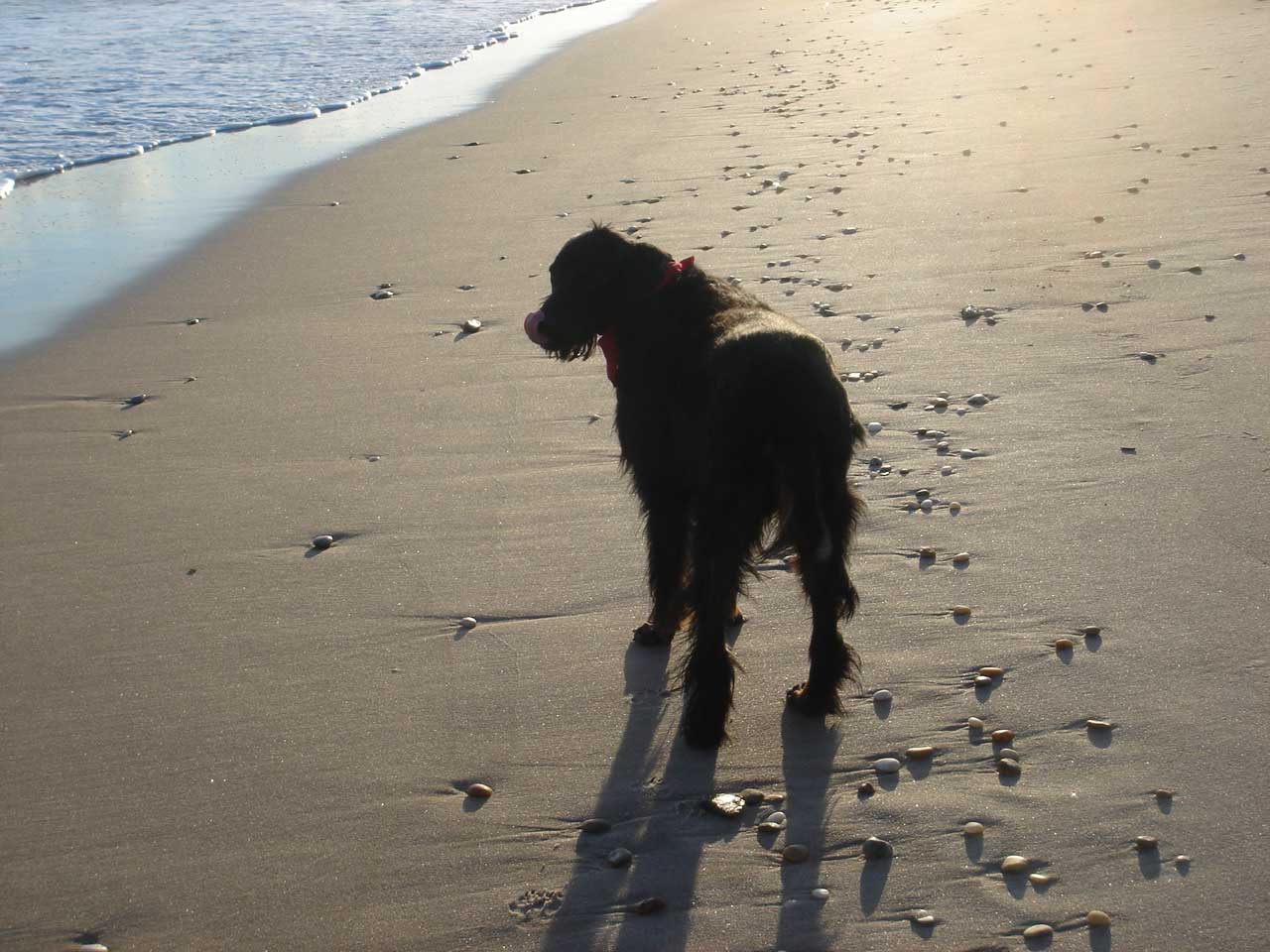 Corry on the Beach Corry on the Beach
