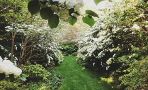 Groundworks at Hren’s - East Hampton NY
