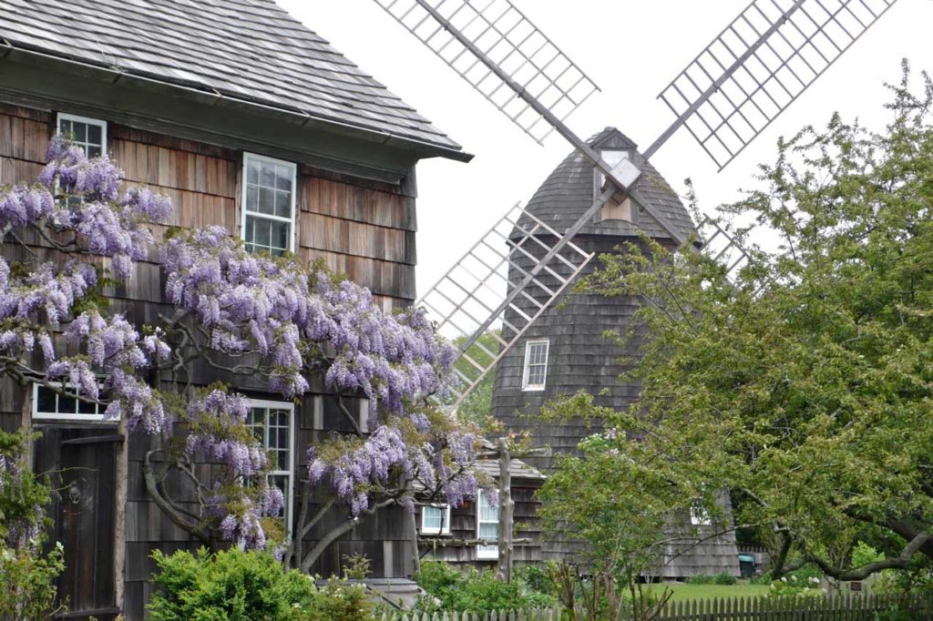 Home Sweet Home with Wisteria and Windmill
