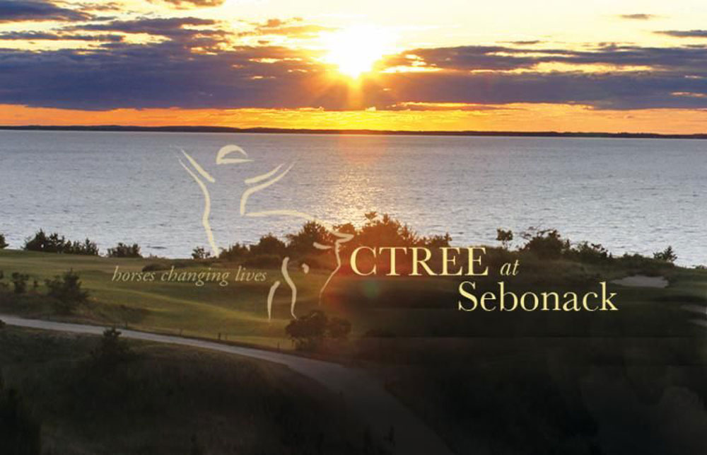 CTREE at Sebonac Horses Changing Lives - Banner