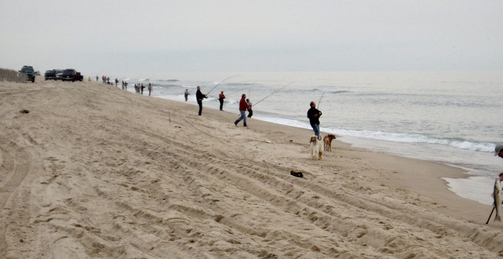 Dogs Enjoy Surf Casting, Too