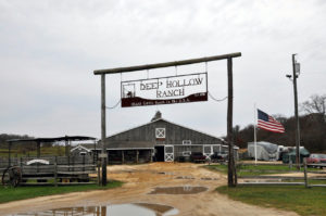 Montauk’s Deep Hollow Ranch, the Oldest Cattle Ranch in the USA