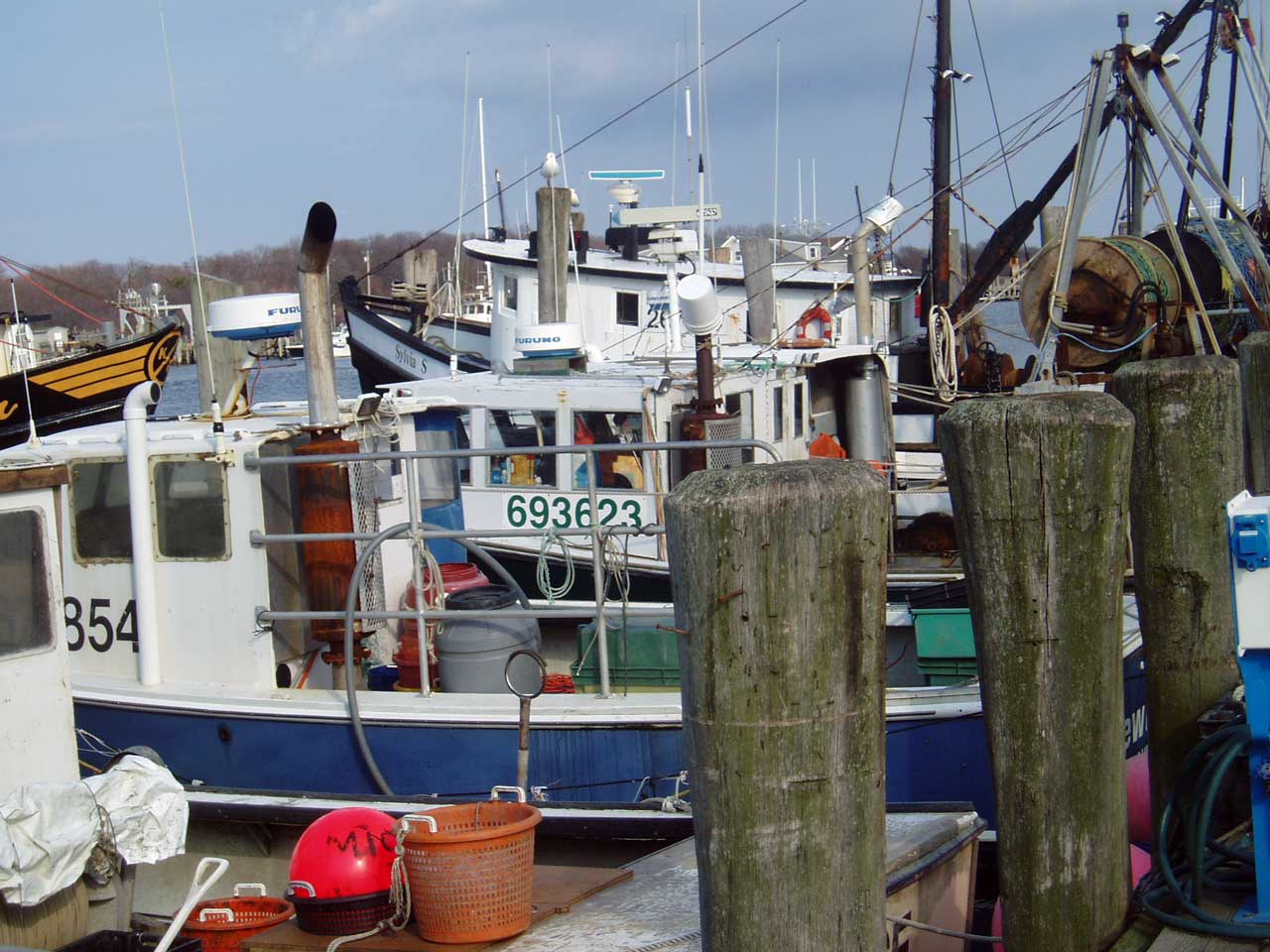 Montauk Fishing Boats Montauk Fishing Boats