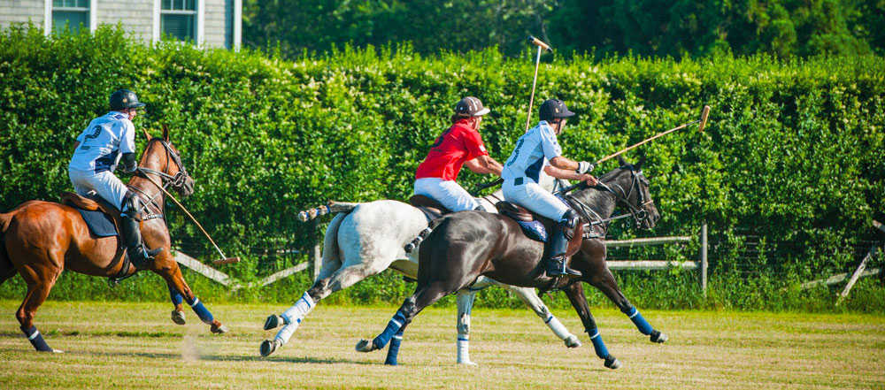 Polo Hamptons 2019 - Players and Horses in Action