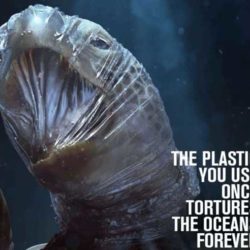 The Plastic You Use Once Tortures the Oceans Forever, Courtesy of snorkelsandfins.comThe Plastic You Use Once Tortures the Oceans Forever, Courtesy of snorkelsandfins.com