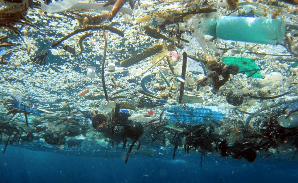 Marine Garbage Debris, Courtesy of snorkelsandfins.com