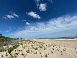 East Hampton Main Beach Spring