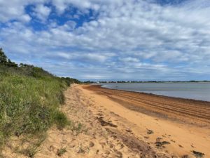 Napeague Harbor Beach Summer 2021